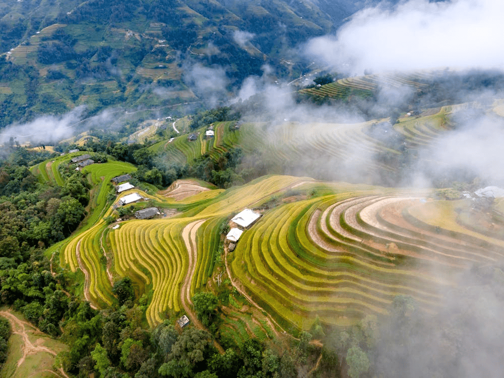 The rice terraces are not only visually stunning but also essential to the livelihoods of ethnic minority communities (Source: Pexels)